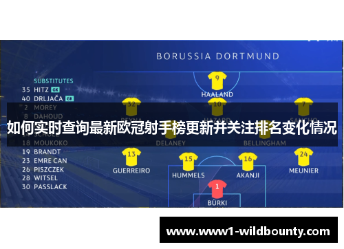 如何实时查询最新欧冠射手榜更新并关注排名变化情况